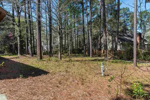 18 Chinquapin Ct, Columbia, SC 29212 - Photo 29