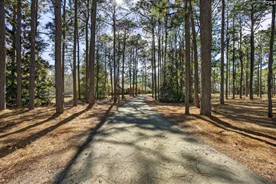 150 Satcher Road, Lexington, SC 29072 - Photo 15