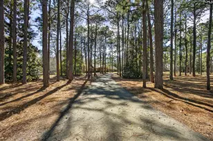 150 Satcher Rd, Lexington, SC 29072 - Photo 15