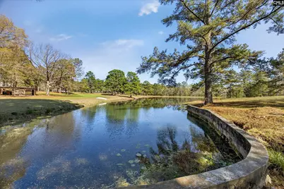 150 Satcher Road, Lexington, SC 29072 - Photo 31