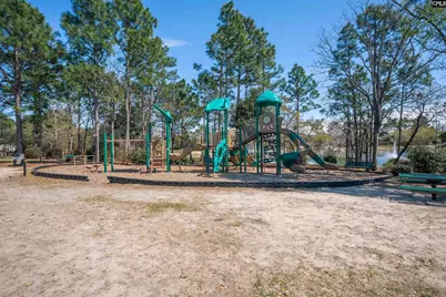 665 Blue Ledge Circle, Lexington, SC 29072 - Photo 29