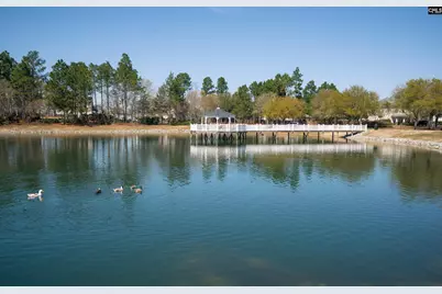 665 Blue Ledge Circle, Lexington, SC 29072 - Photo 31