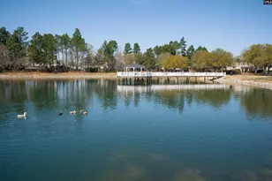 665 Blue Ledge Cir, Lexington, SC 29072 - Photo 31