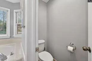 228 Weeping Cherry Ln, Columbia, SC 29212 - Photo 41