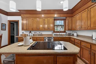 228 Weeping Cherry Lane, Columbia, SC 29212 - Photo 29