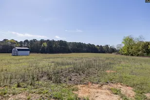 365 Tindal Rd, Pelion, SC 29123 - Photo 21