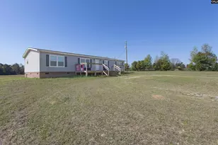 365 Tindal Rd, Pelion, SC 29123 - Photo 3