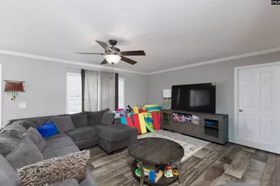 365 Tindal Road, Pelion, SC 29123 - Photo 5