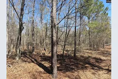 Bhl 9 Boise Cascade Road Bhl 9, Bethune, SC 29009 - Photo 5