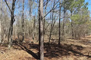 Bhl 9 Boise Cascade Road Bhl 9, Bethune, SC 29009 - Photo 5