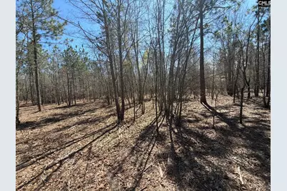 Bhl 9 Boise Cascade Road Bhl 9, Bethune, SC 29009 - Photo 33