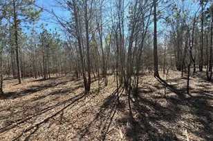 Bhl 9 Boise Cascade Road Bhl 9, Bethune, SC 29009 - Photo 33