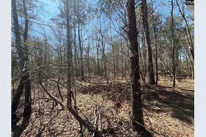 Bhl 9 Boise Cascade Road Bhl 9, Bethune, SC 29009 - Photo 35