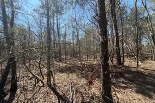 Bhl 9 Boise Cascade Road Bhl 9, Bethune, SC 29009 - Photo 35