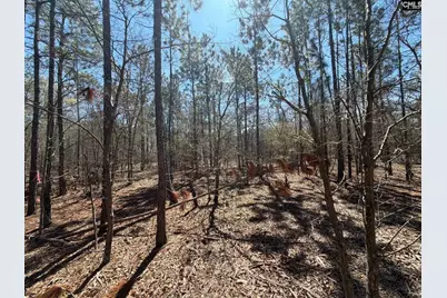 Bhl 9 Boise Cascade Road Bhl 9, Bethune, SC 29009 - Photo 29