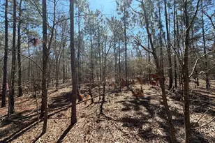 Bhl 9 Boise Cascade Road Bhl 9, Bethune, SC 29009 - Photo 29