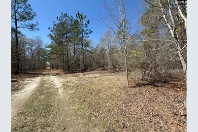Bhl 9 Boise Cascade Road Bhl 9, Bethune, SC 29009 - Photo 7
