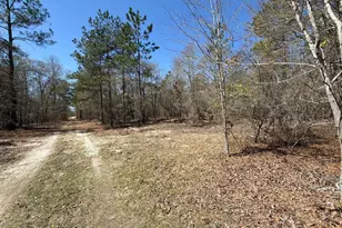 Bhl 9 Boise Cascade Road Bhl 9, Bethune, SC 29009 - Photo 7