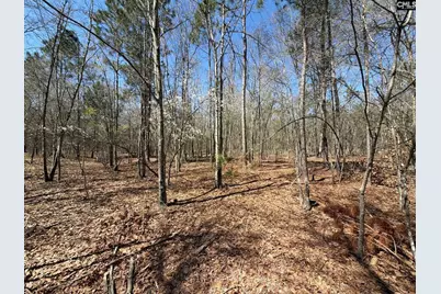 Bhl 9 Boise Cascade Road Bhl 9, Bethune, SC 29009 - Photo 17