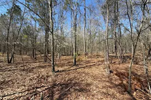 Bhl 9 Boise Cascade Road Bhl 9, Bethune, SC 29009 - Photo 17