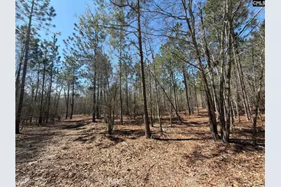 Bhl 9 Boise Cascade Road Bhl 9, Bethune, SC 29009 - Photo 25