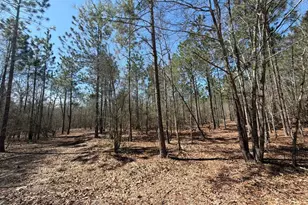 Bhl 9 Boise Cascade Road Bhl 9, Bethune, SC 29009 - Photo 25