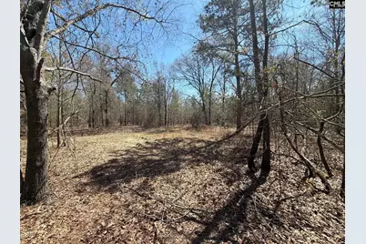 Bhl 9 Boise Cascade Road Bhl 9, Bethune, SC 29009 - Photo 39