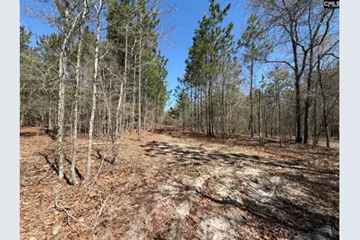 Bhl 9 Boise Cascade Road Bhl 9, Bethune, SC 29009 - Photo 27