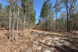 Bhl 9 Boise Cascade Road Bhl 9, Bethune, SC 29009 - Photo 27