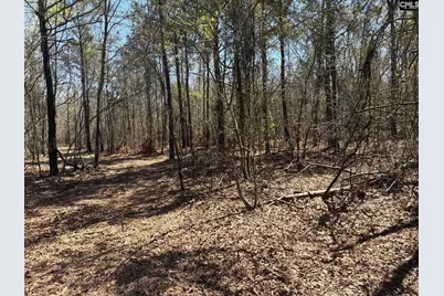 Bhl 9 Boise Cascade Road Bhl 9, Bethune, SC 29009 - Photo 43