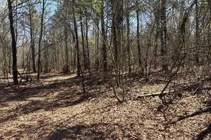 Bhl 9 Boise Cascade Road Bhl 9, Bethune, SC 29009 - Photo 43