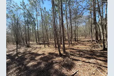 Bhl 9 Boise Cascade Road Bhl 9, Bethune, SC 29009 - Photo 31