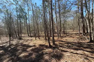 Bhl 9 Boise Cascade Road Bhl 9, Bethune, SC 29009 - Photo 31