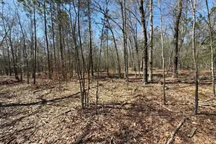 Bhl 9 Boise Cascade Road Bhl 9, Bethune, SC 29009 - Photo 19