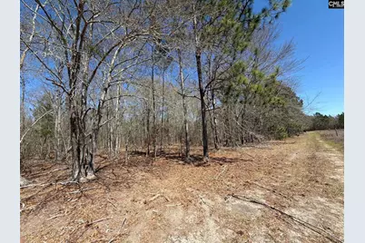 Bhl 9 Boise Cascade Road Bhl 9, Bethune, SC 29009 - Photo 13