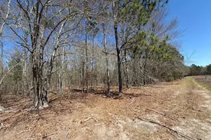 Bhl 9 Boise Cascade Road Bhl 9, Bethune, SC 29009 - Photo 13