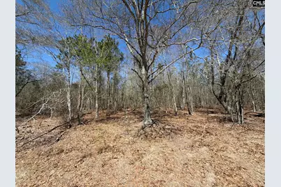 Bhl 9 Boise Cascade Road Bhl 9, Bethune, SC 29009 - Photo 11