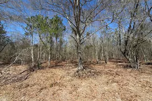 Bhl 9 Boise Cascade Road Bhl 9, Bethune, SC 29009 - Photo 11