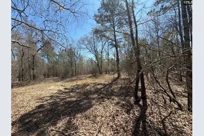 Bhl 9 Boise Cascade Road Bhl 9, Bethune, SC 29009 - Photo 37