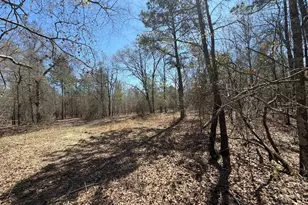 Bhl 9 Boise Cascade Road Bhl 9, Bethune, SC 29009 - Photo 37