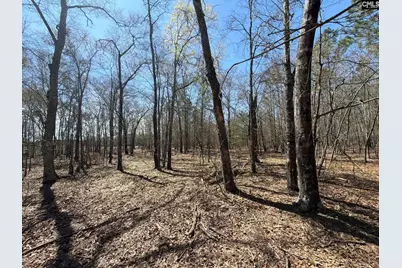 Bhl 9 Boise Cascade Road Bhl 9, Bethune, SC 29009 - Photo 21