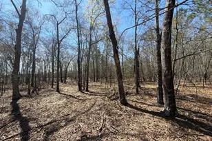 Bhl 9 Boise Cascade Road Bhl 9, Bethune, SC 29009 - Photo 21