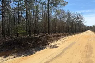 Bhl 9 Boise Cascade Road Bhl 9, Bethune, SC 29009 - Photo 3