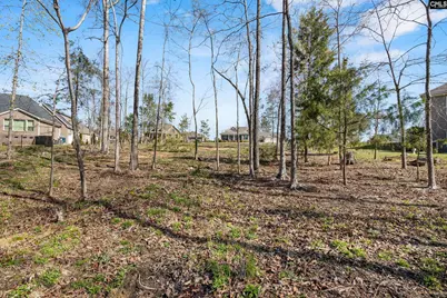 0 Golden Way #17, Prosperity, SC 29127 - Photo 11