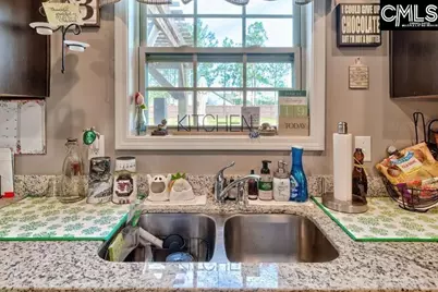 455 Crassula Drive, Lexington, SC 29073 - Photo 13