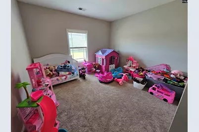 114 Tall Pines Road, Sandy Run, SC 29053 - Photo 17