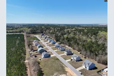 114 Tall Pines Road, Sandy Run, SC 29053 - Photo 35