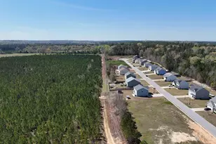 114 Tall Pnes Rd, Gaston, SC 29053 - Photo 33