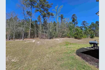 114 Tall Pines Road, Sandy Run, SC 29053 - Photo 29