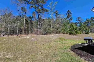 114 Tall Pnes Rd, Gaston, SC 29053 - Photo 29